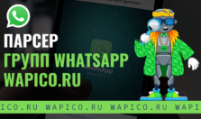 Парсер групп и чатов whatsapp wapico